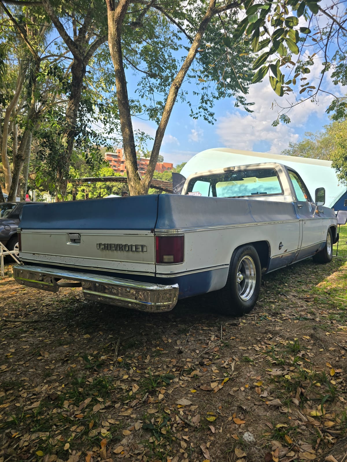 Chevrolet C10 1973 - Cheyenne Super Longbed